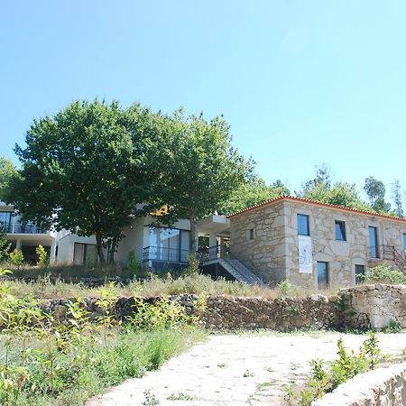 Trebid'Ouro Villa Vale de Cambra Ngoại thất bức ảnh