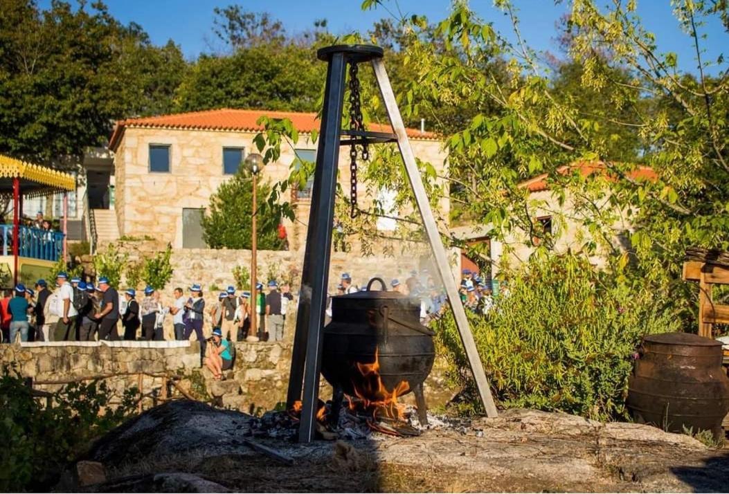 Trebid'Ouro Villa Vale de Cambra Ngoại thất bức ảnh