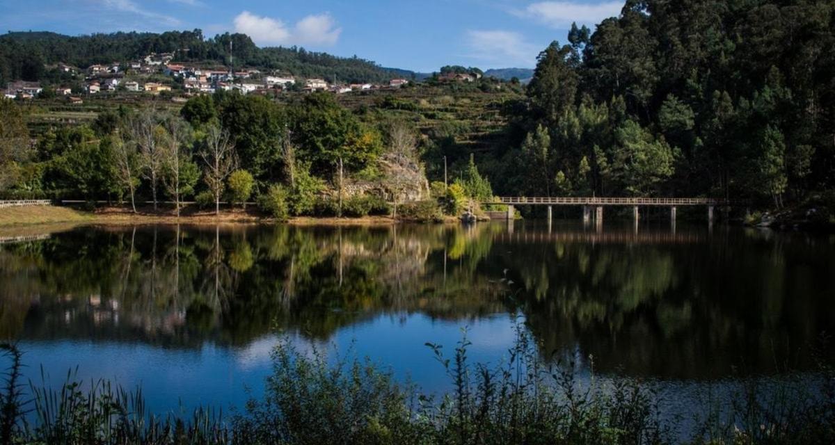 Trebid'Ouro Villa Vale de Cambra Ngoại thất bức ảnh